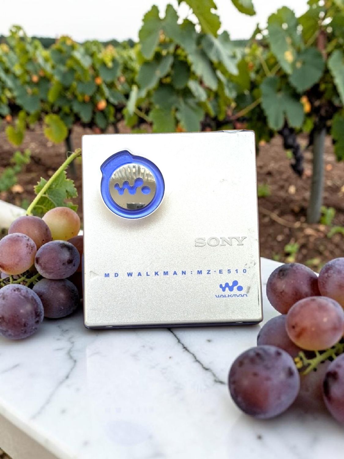 Sony MZ-E510