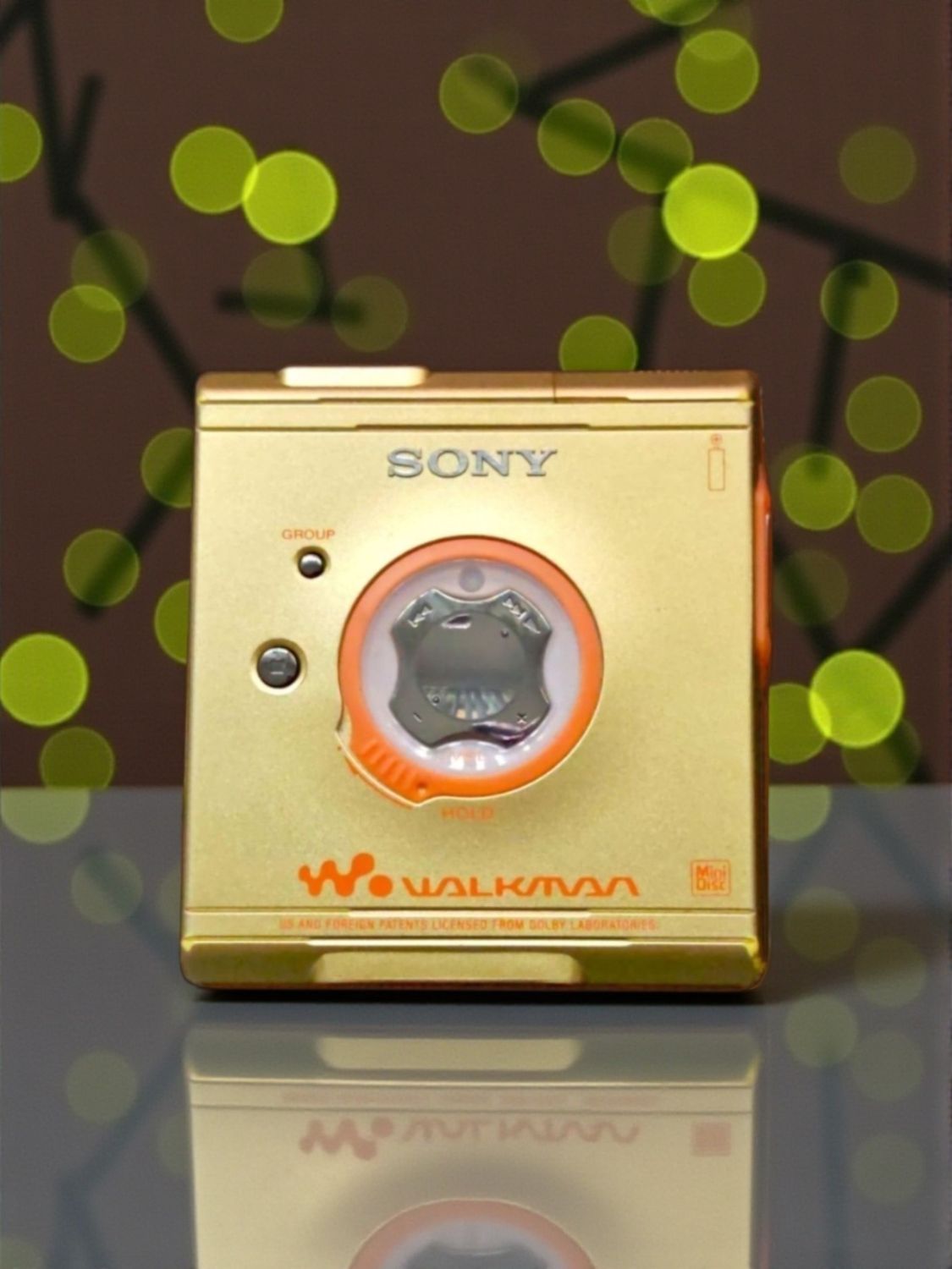 Sony MZ-E501