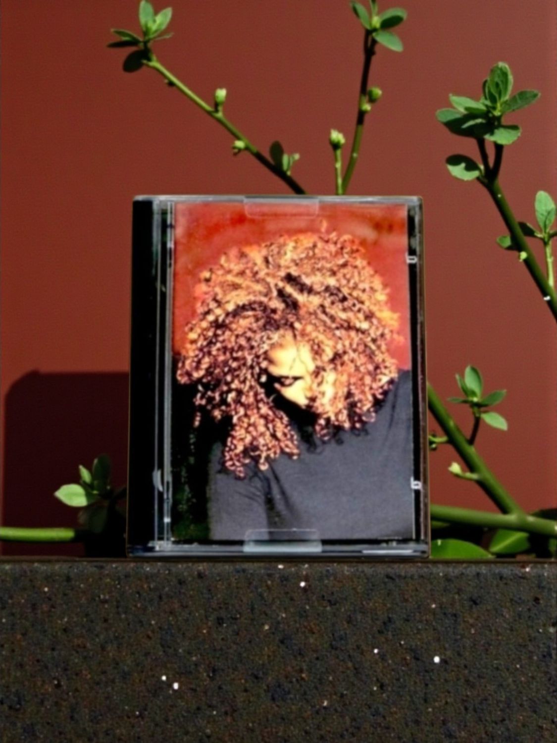 Janet Jackson - The Velvet Rope