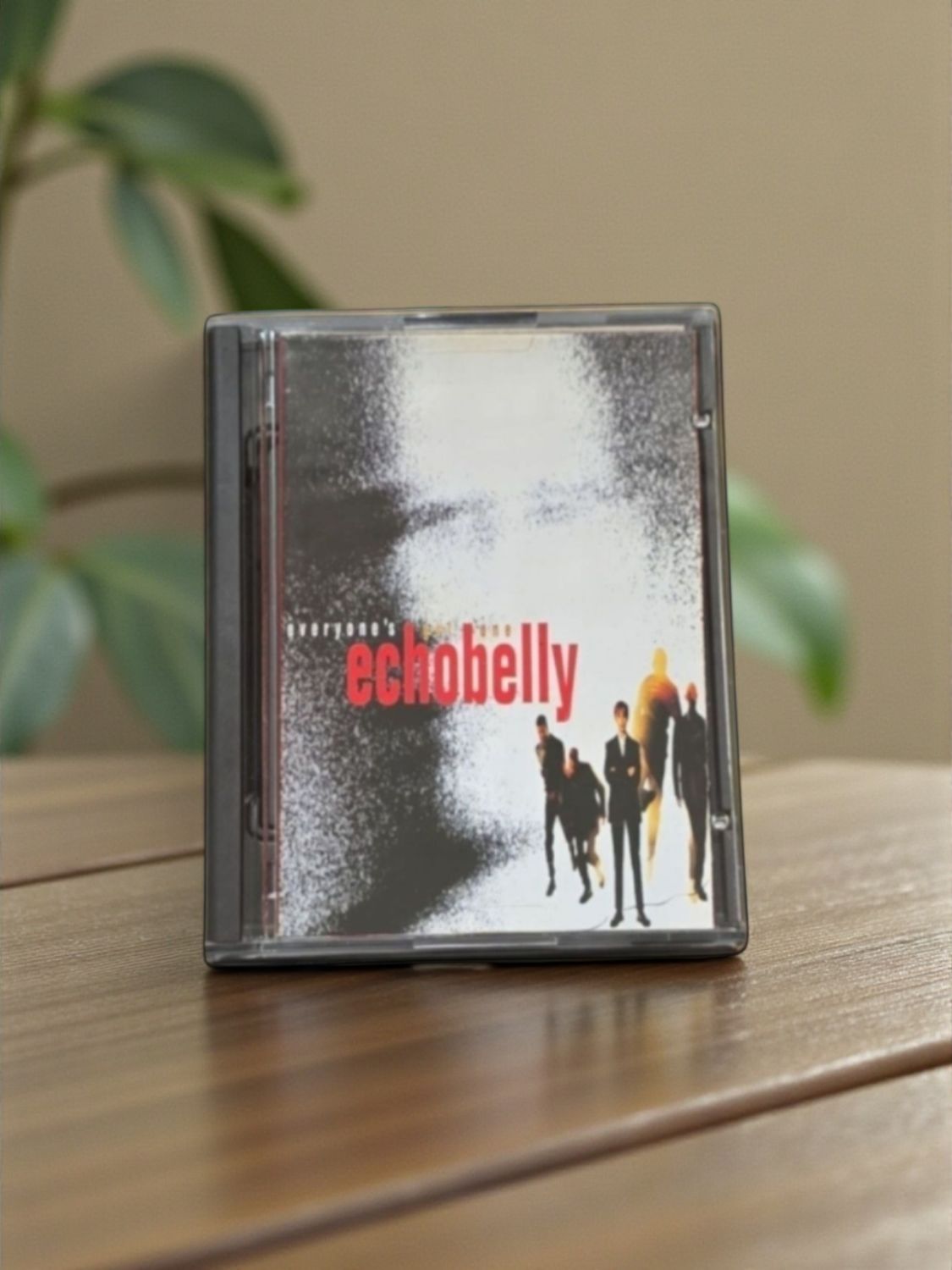 Echobelly - Everyone's Got One