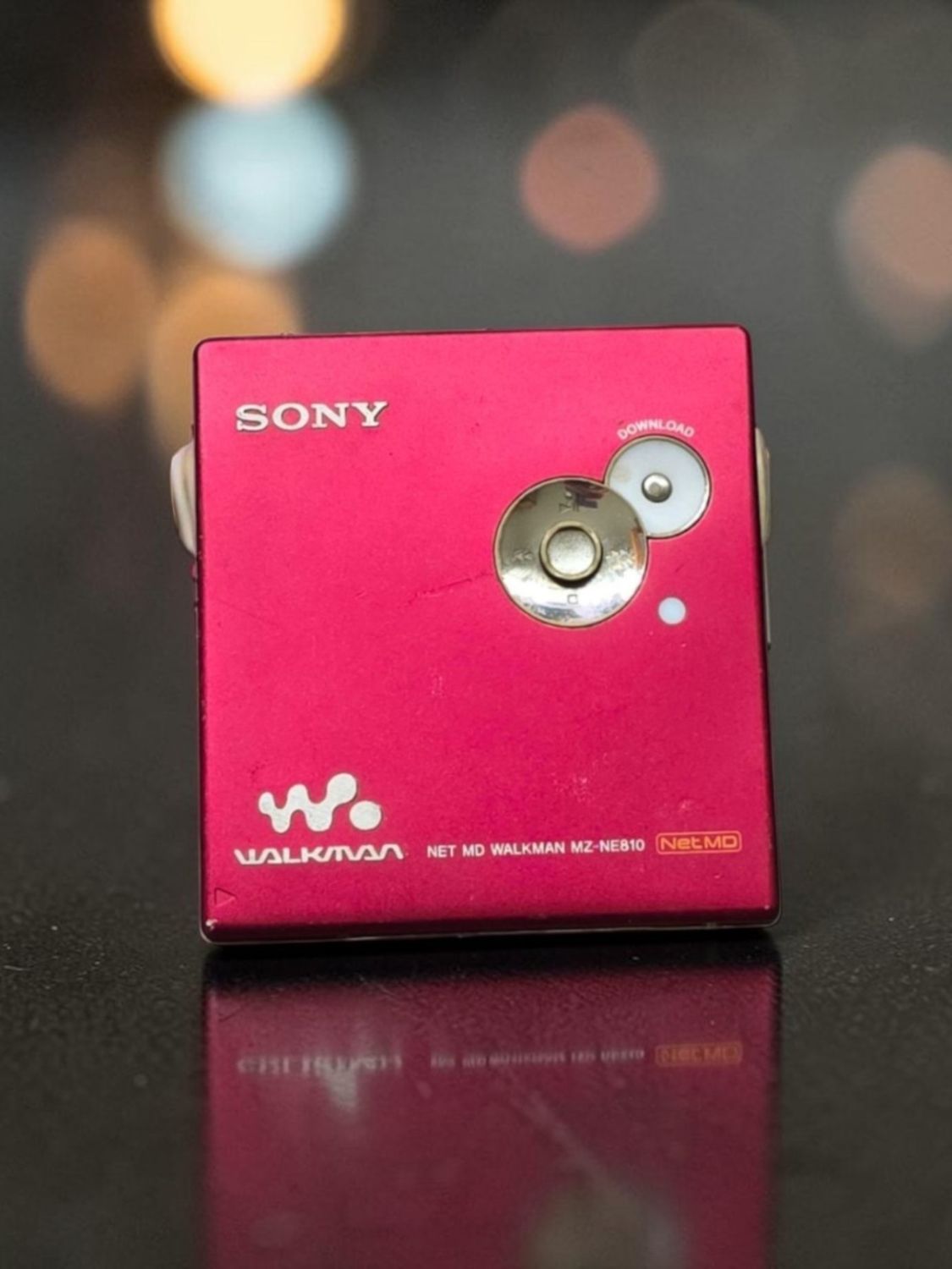 Sony MZ-NE810