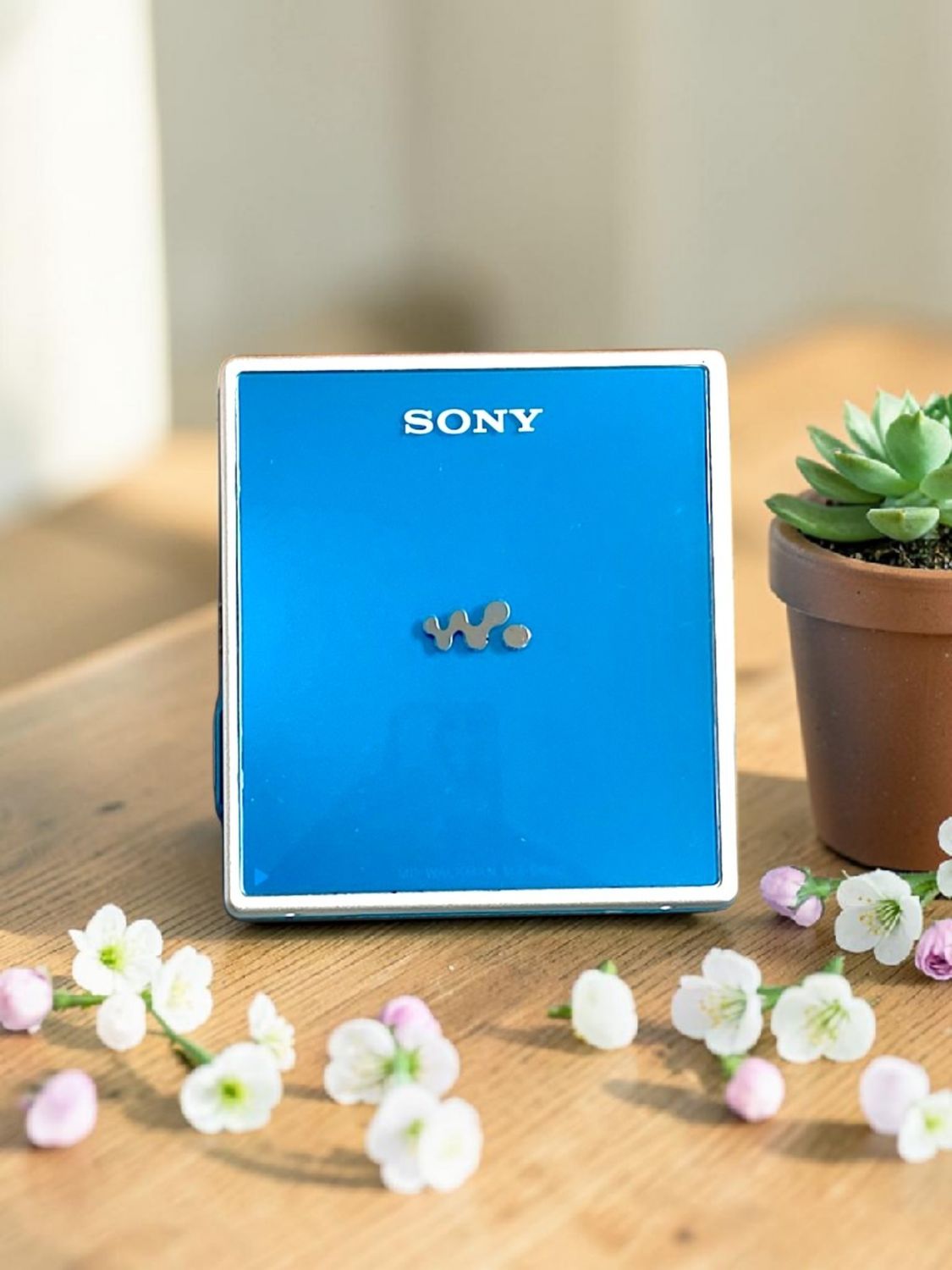 Sony MZ-E620