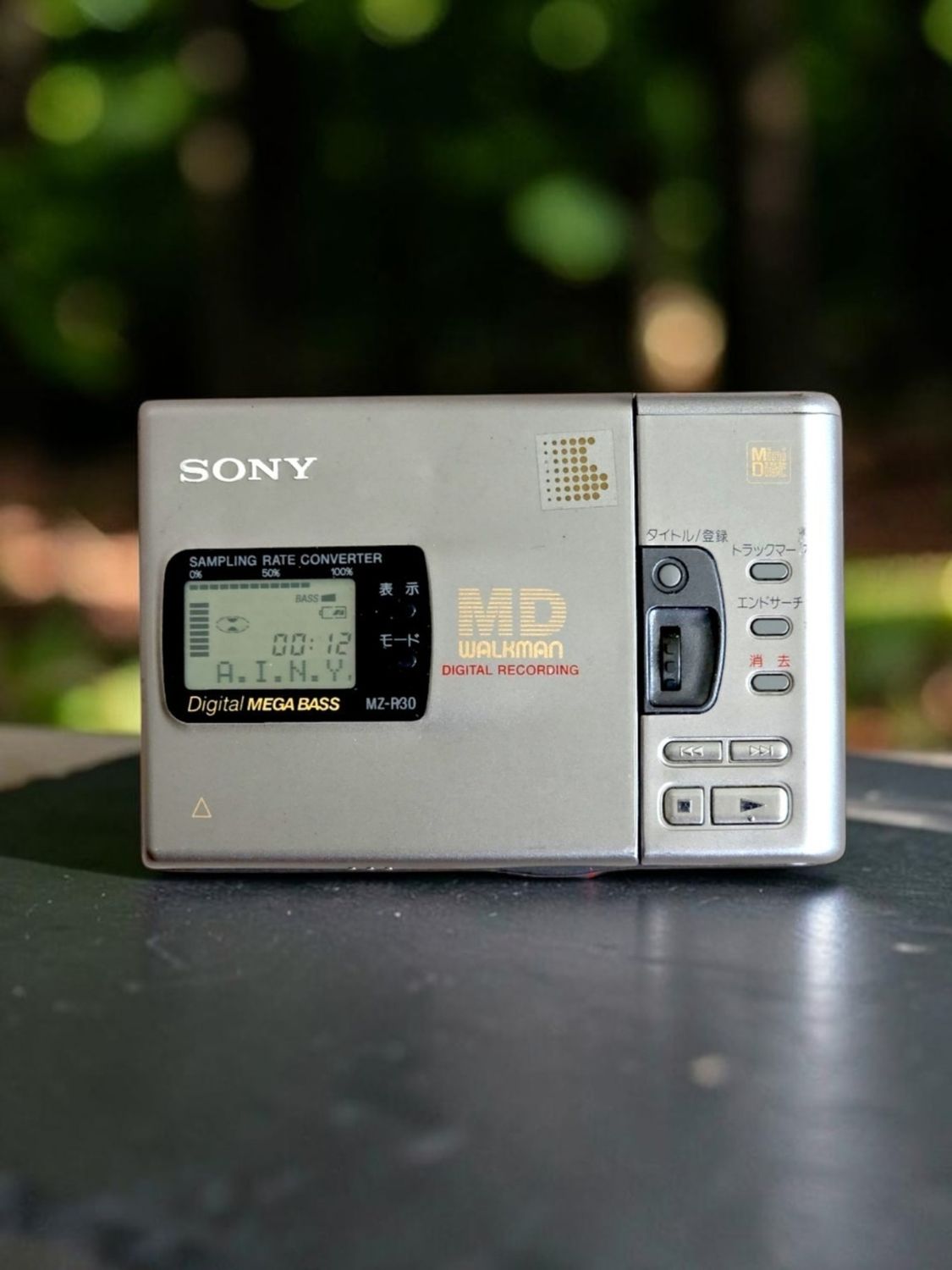 Sony MZ-R30