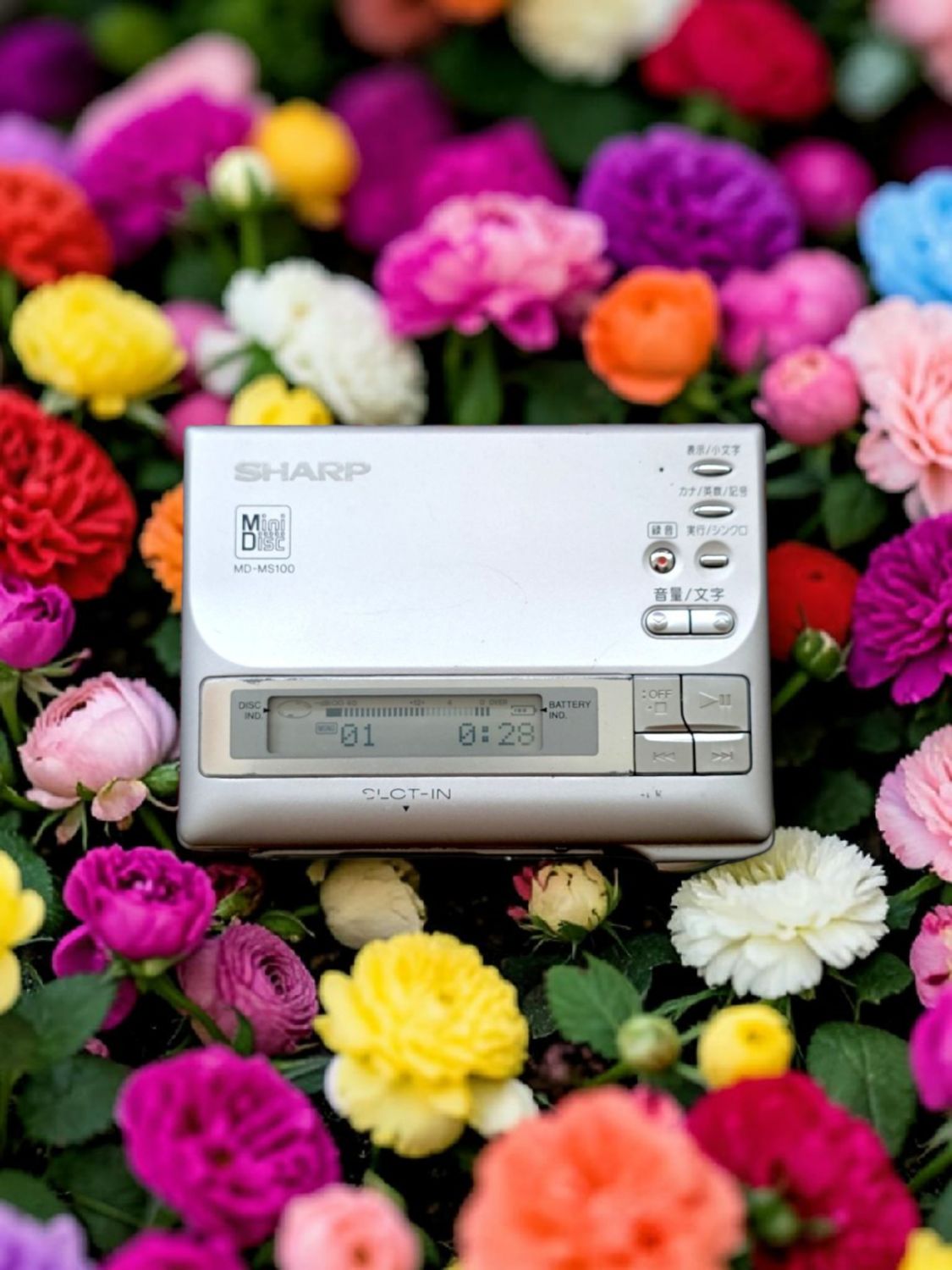 Sharp MD-MS100-S
