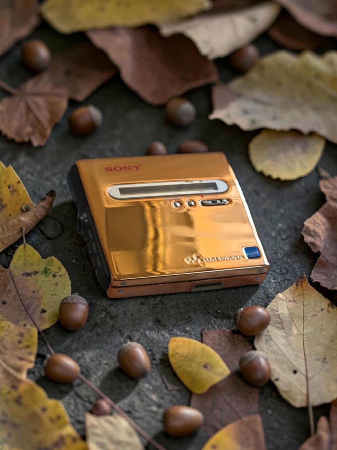 Modded Shiny Copper Colour Sony MZ-NH1