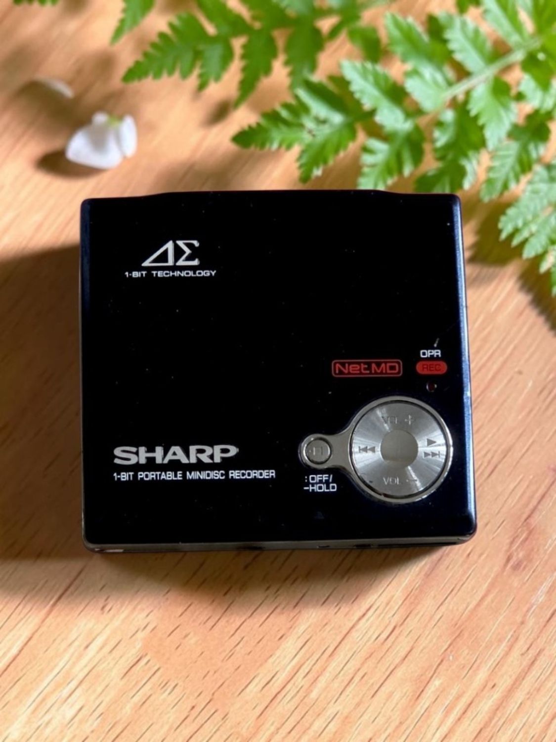 Sharp IM-DR80-B