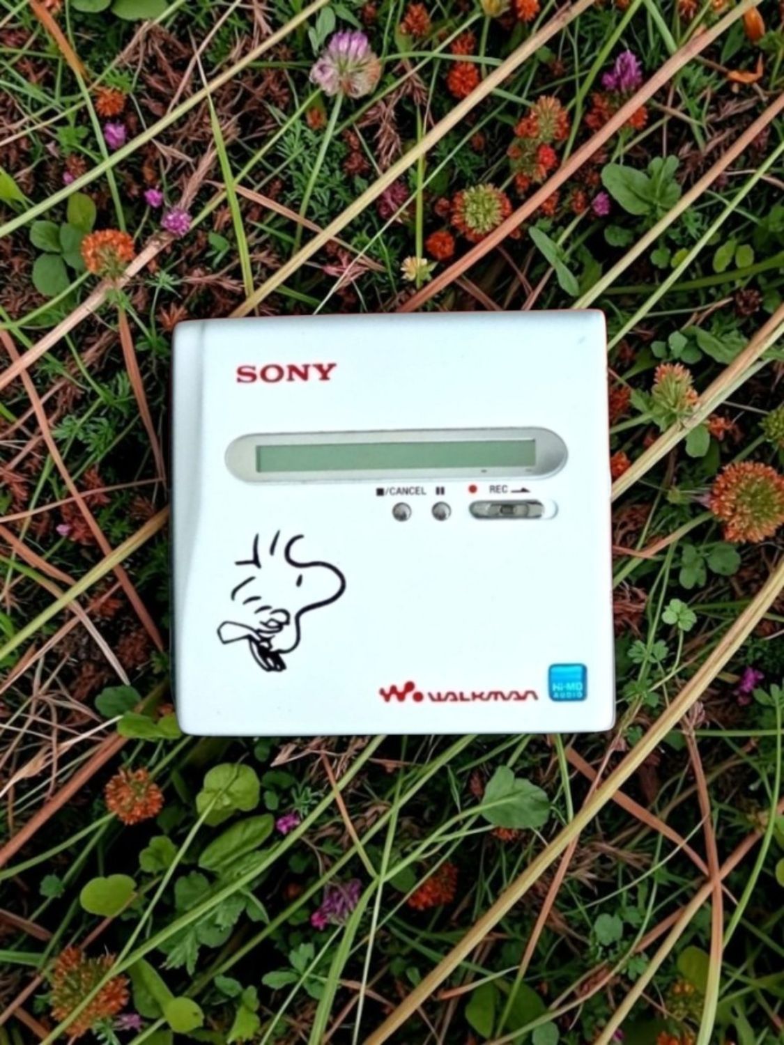 Matt White Peanuts Themed Sony MZ-NH1