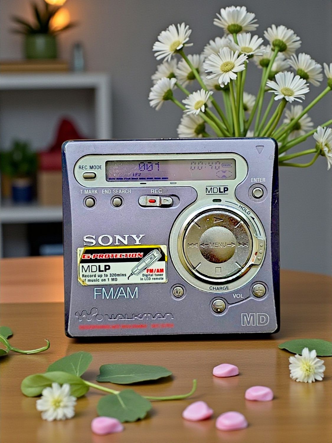 Sony MZ-G750