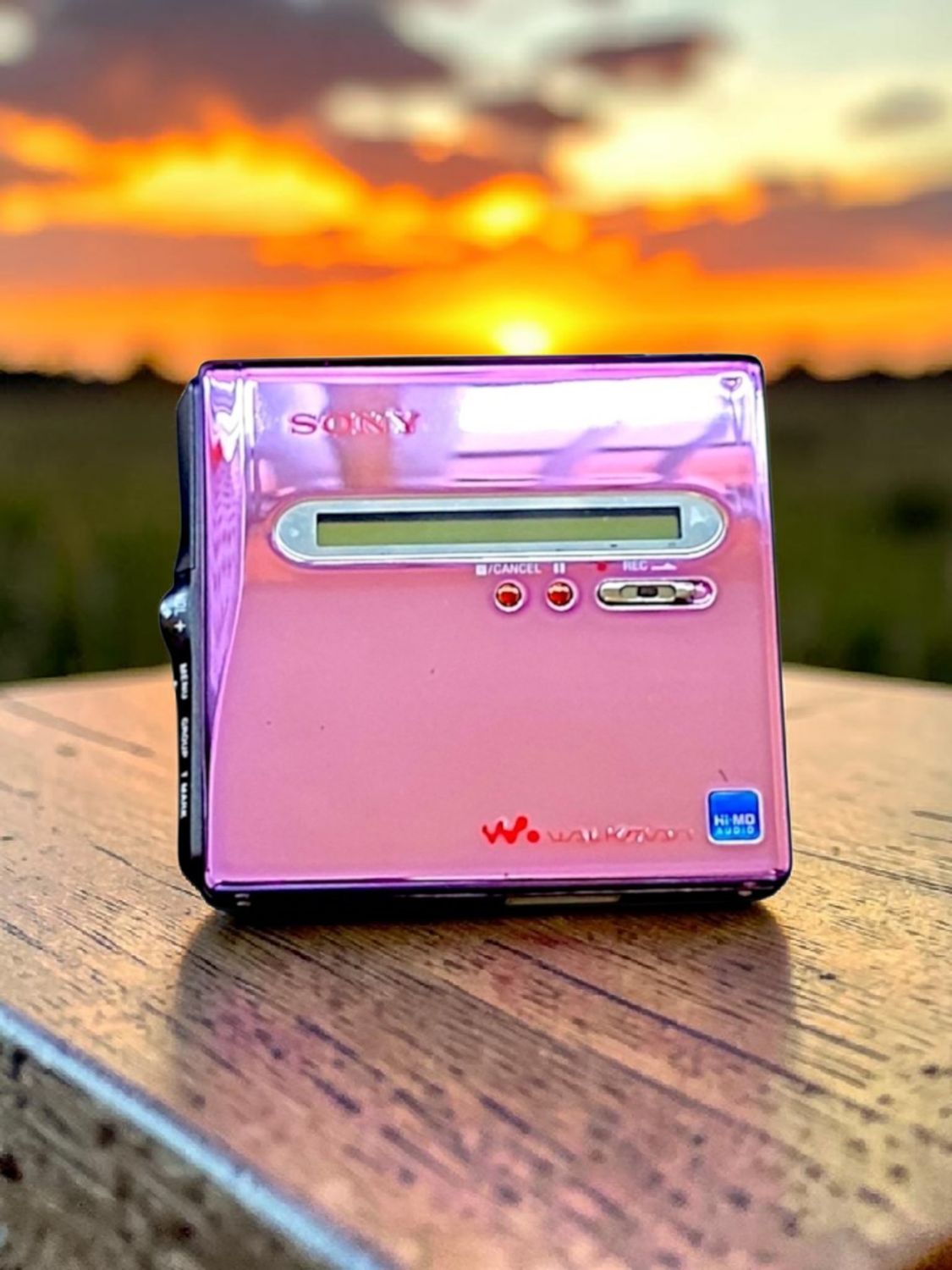 Modded Cherry Blossom Sony MZ-NH1