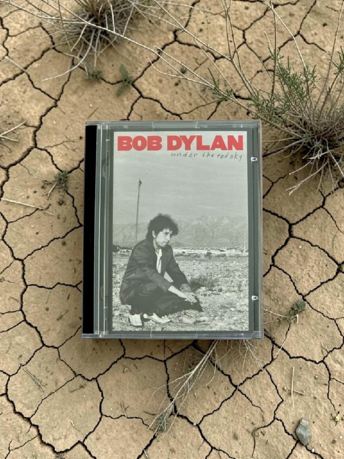 Bob Dylan - Under The Red Sky