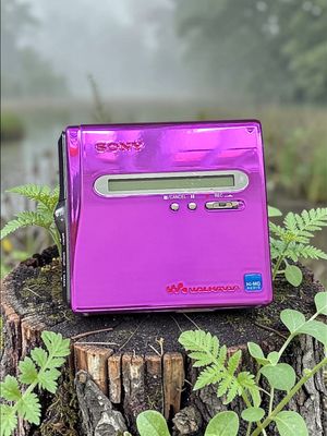 Modded Fuchsia Sony MZ-NH1