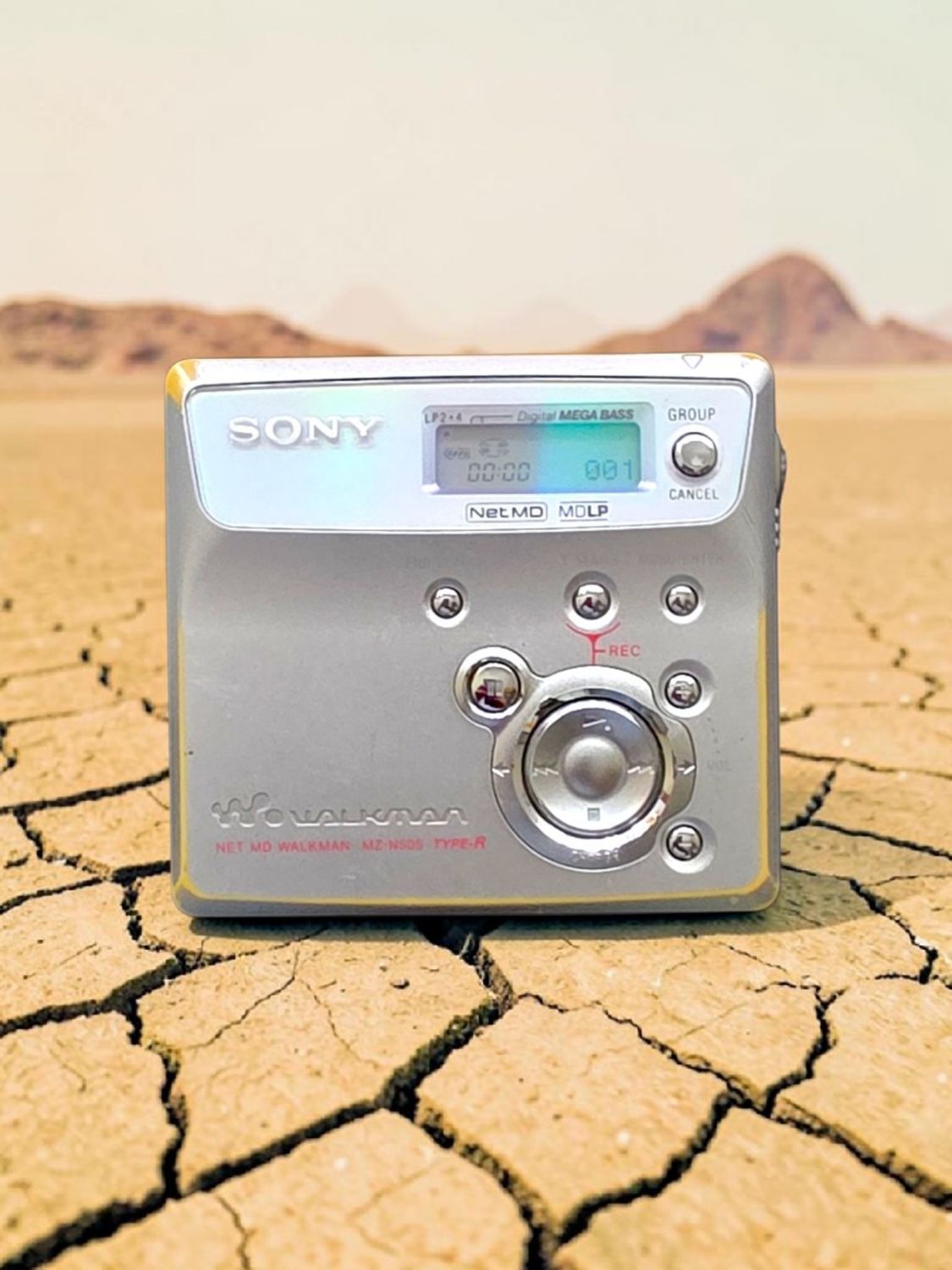 Sony MZ-N505