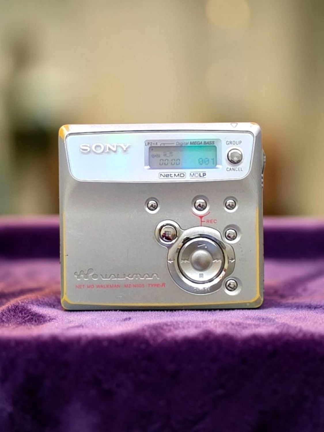 Sony MZ-N505