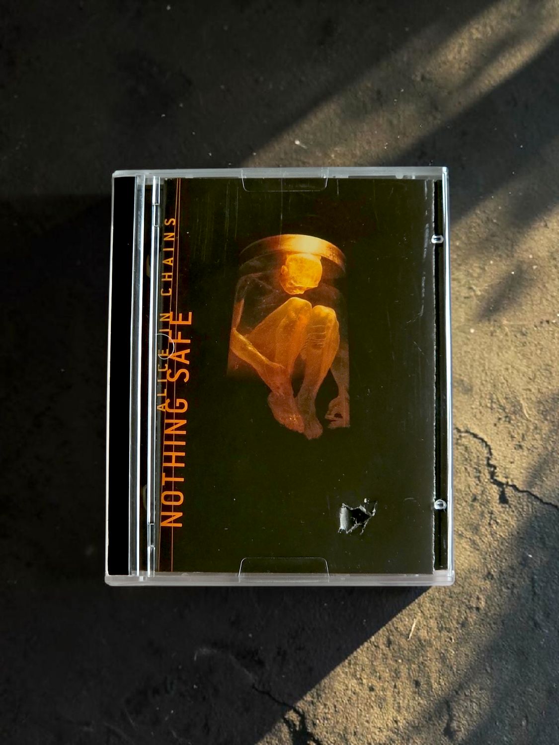 Alice In Chains - Nothing Safe