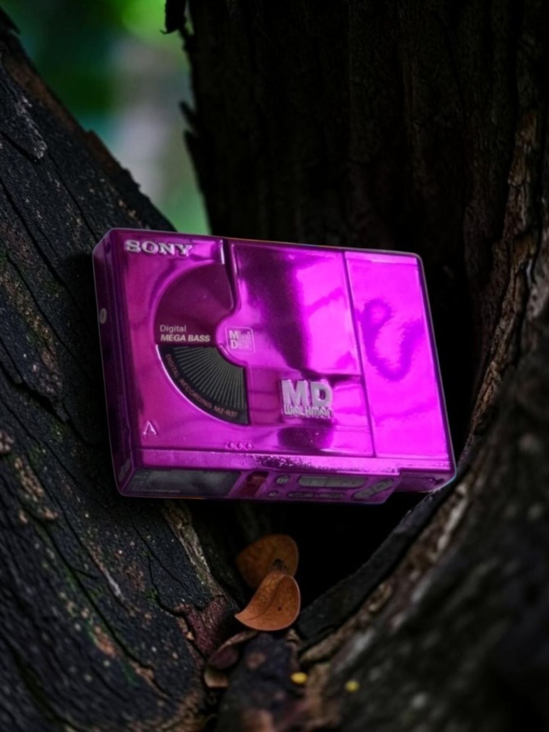 Recoloured Metallic Fuchsia Sony MZ-R37