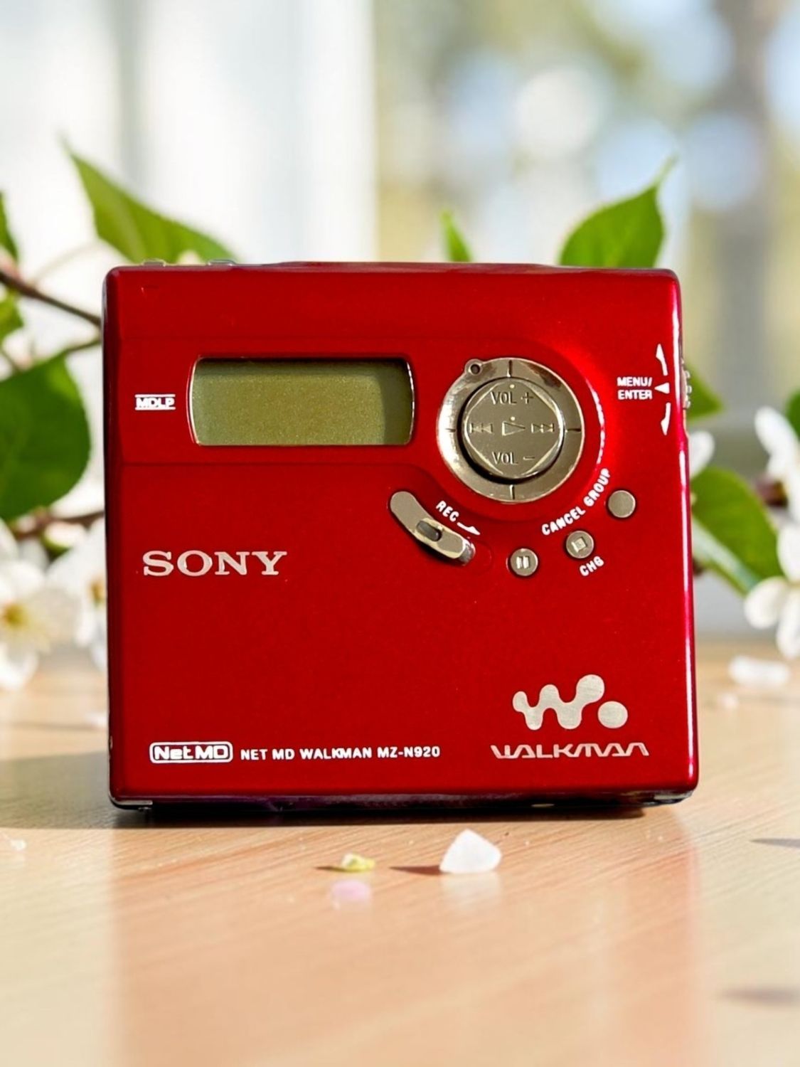 Recoloured Flaming Red Sony MZ-N920