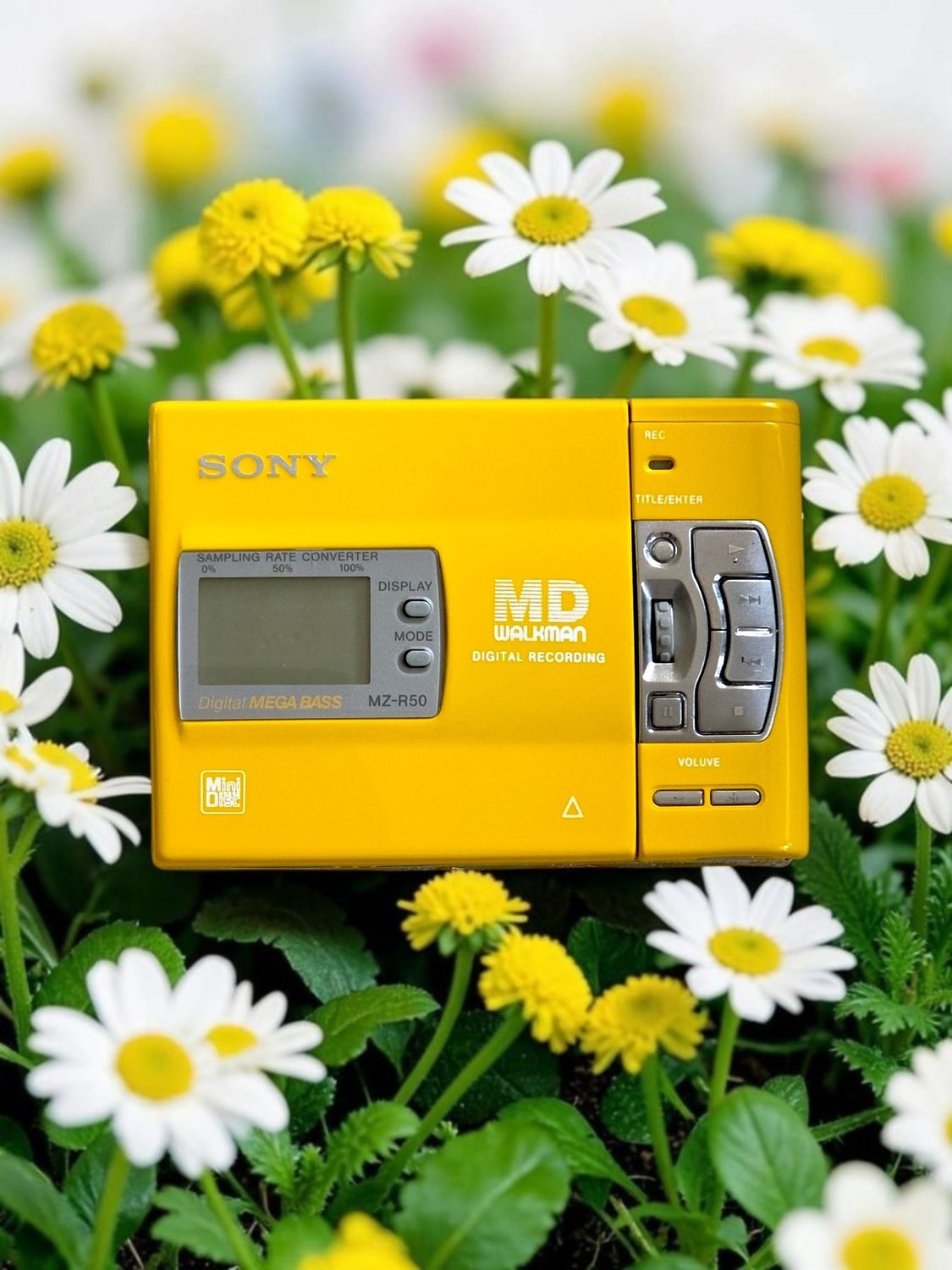 Recoloured Bright Yellow Sony MZ-R50