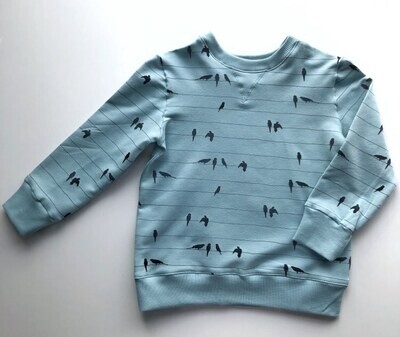 Sweater met vogels