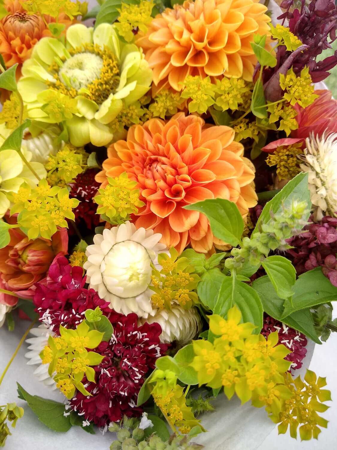 Fall Bouquet Subscription, BLACKSBURG COUNTRY CLUB pickup (August 20 - September 17)