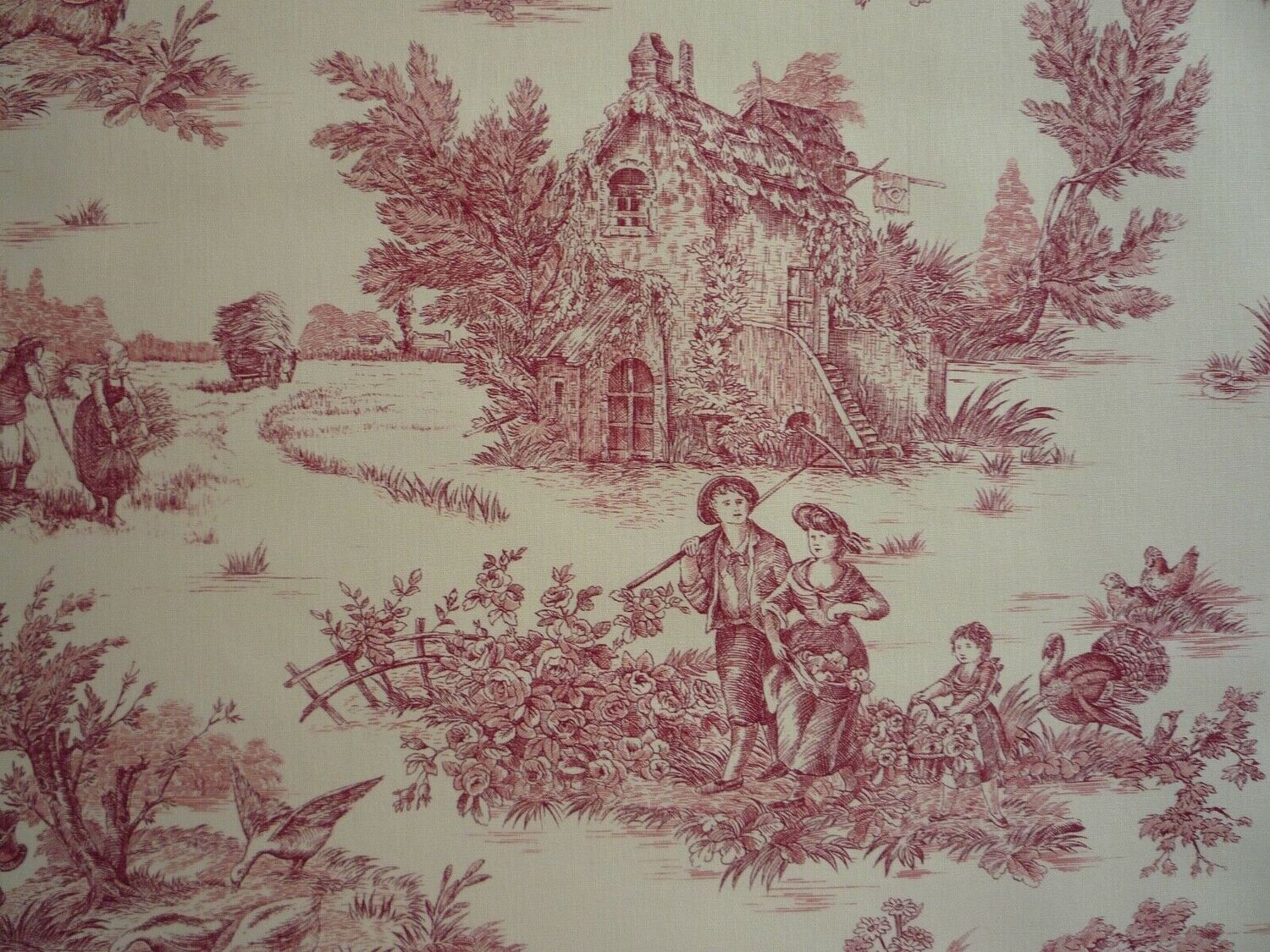 TOIL DE JOUX - NATURALEZA/RAYAS