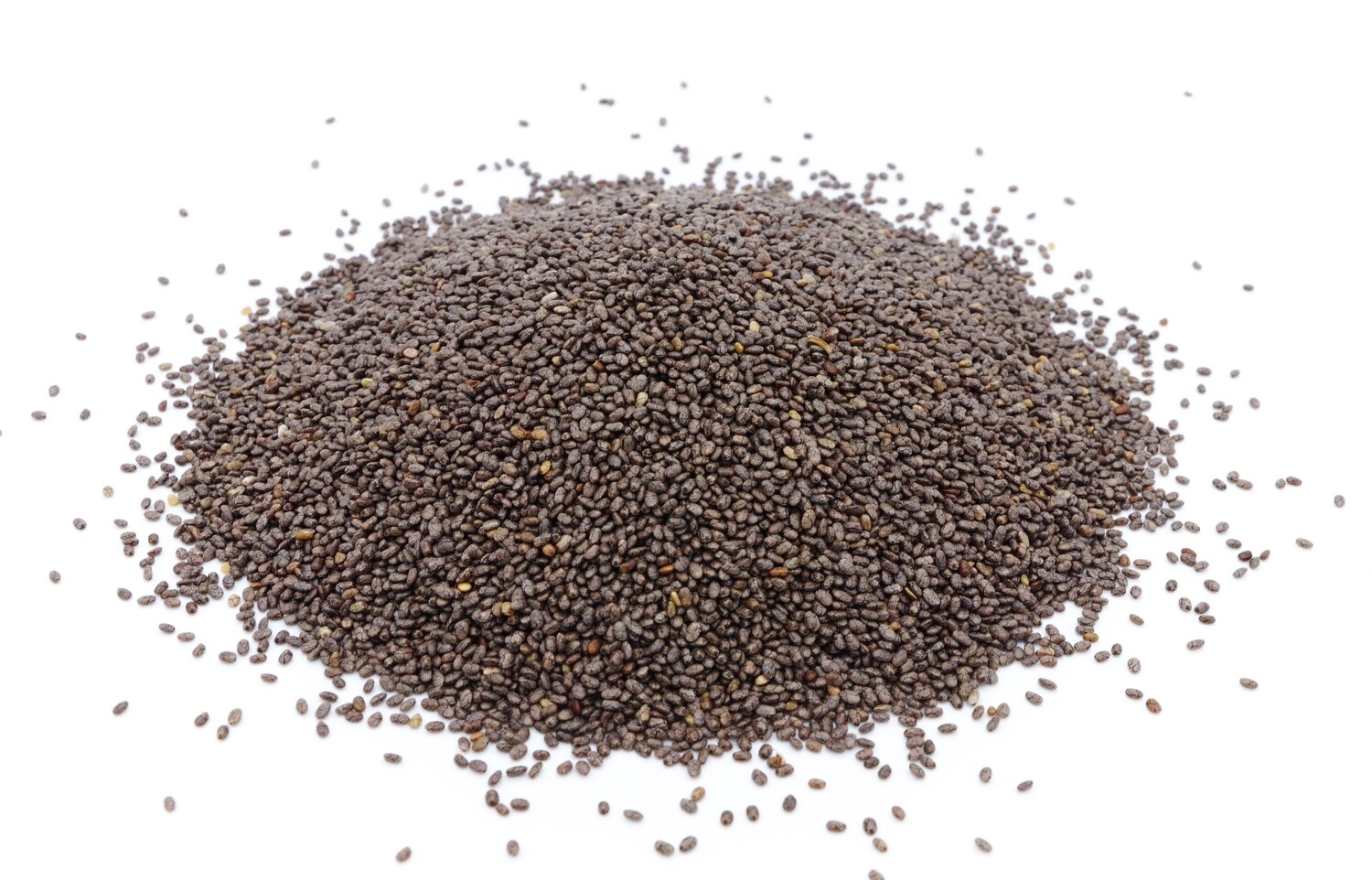 Chiasamen - Bio - 25 kg - schwarz