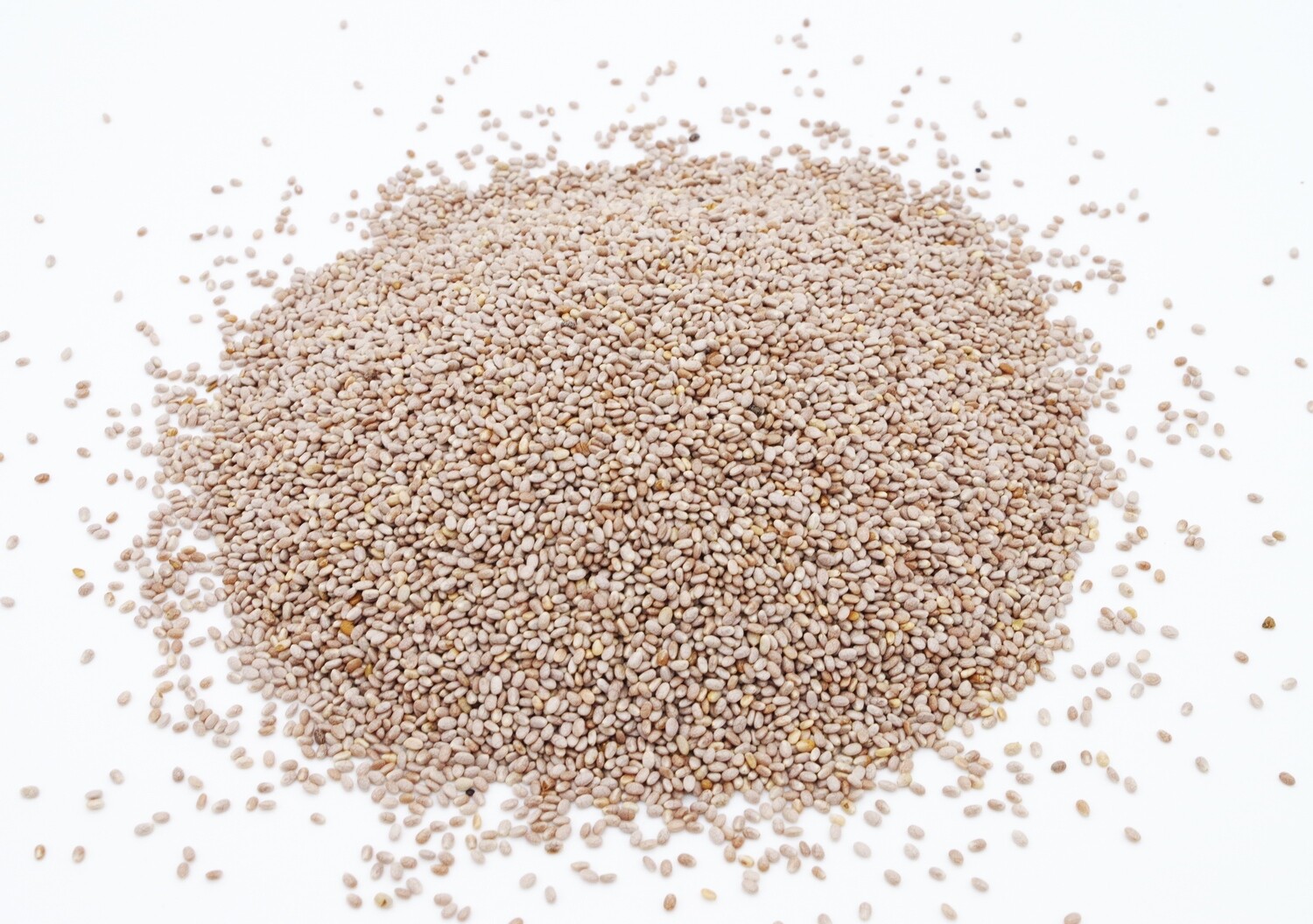 Chiasamen - Bio - 25kg - weiß