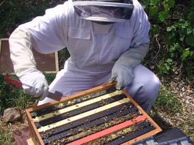 Other Bee By-Products