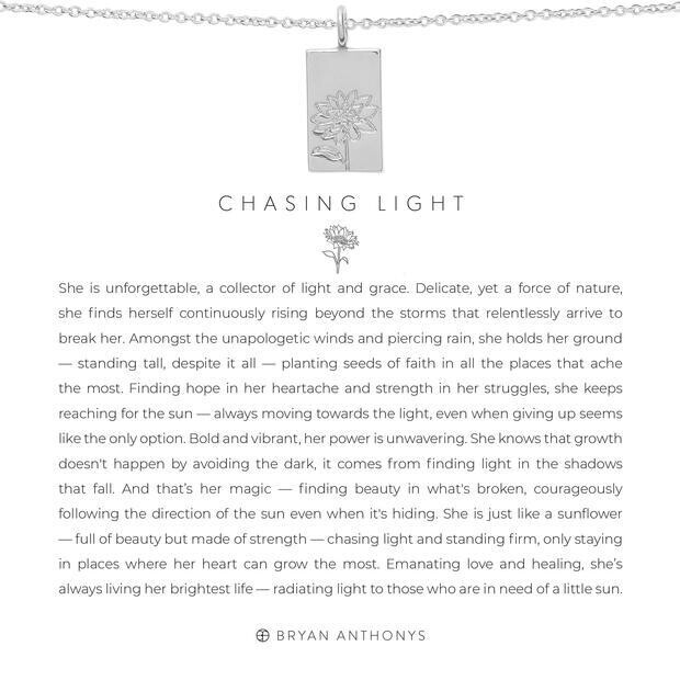 Chasing Light Silver