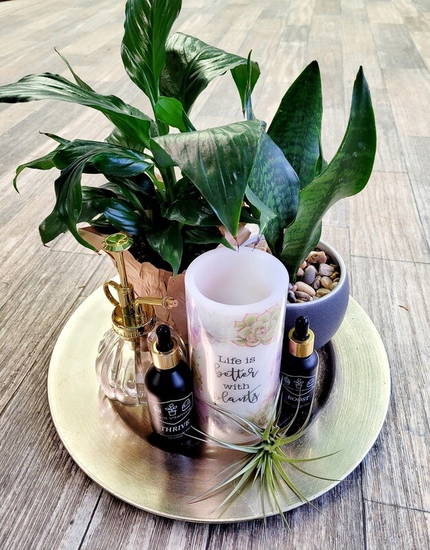 Plant Love