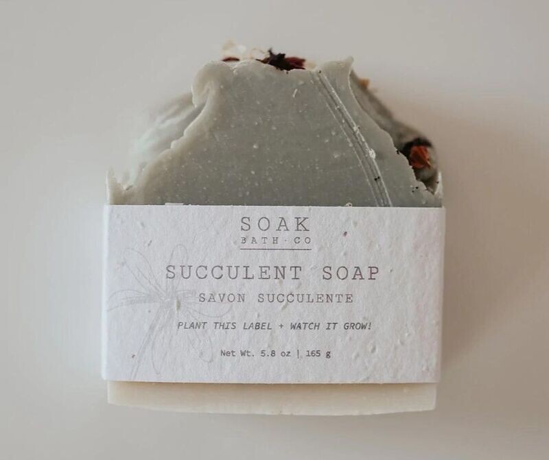 Succulent Soap