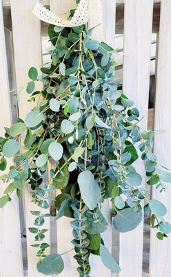 Eucalyptus Bunch