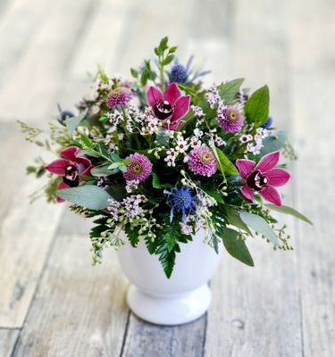 Orchid Elegance