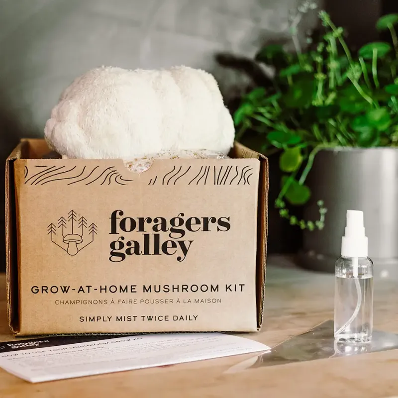 Lion's Mane Mushroom Grow-at-Home Kit