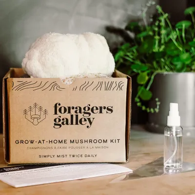 Lion's Mane Mushroom Grow-at-Home Kit