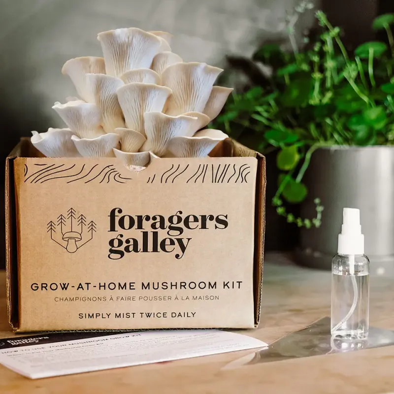 Snow Oyster Mushroom Grow-at-Home Kit
