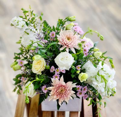 Enchanted Elegance