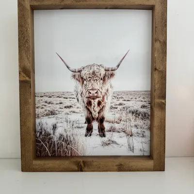 Highland Cow print 2 - Dark Walnut 13x17