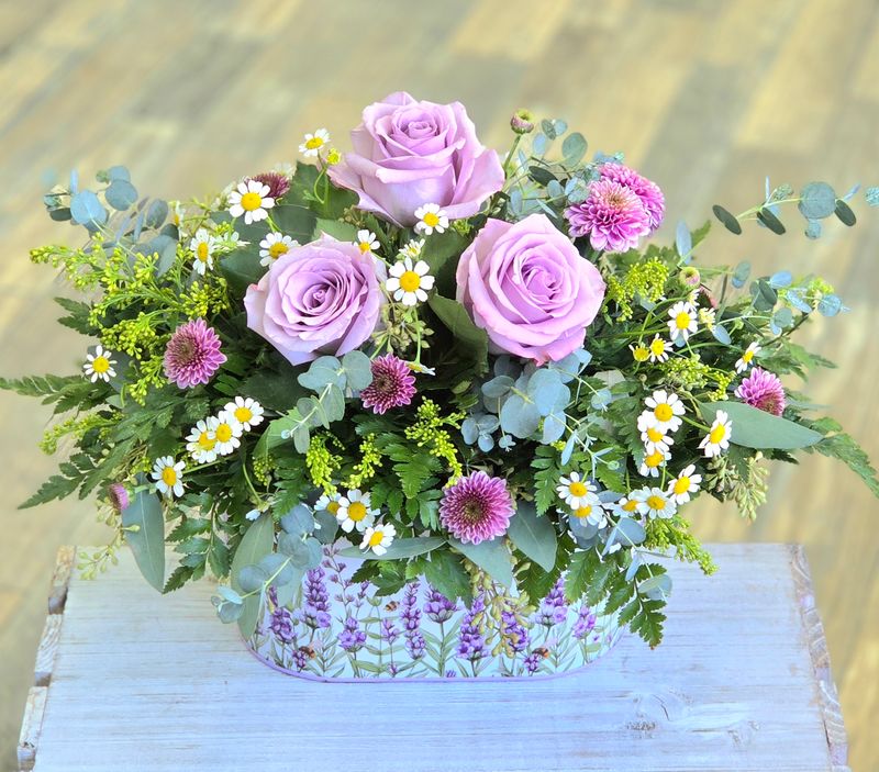 Lovely Lavender