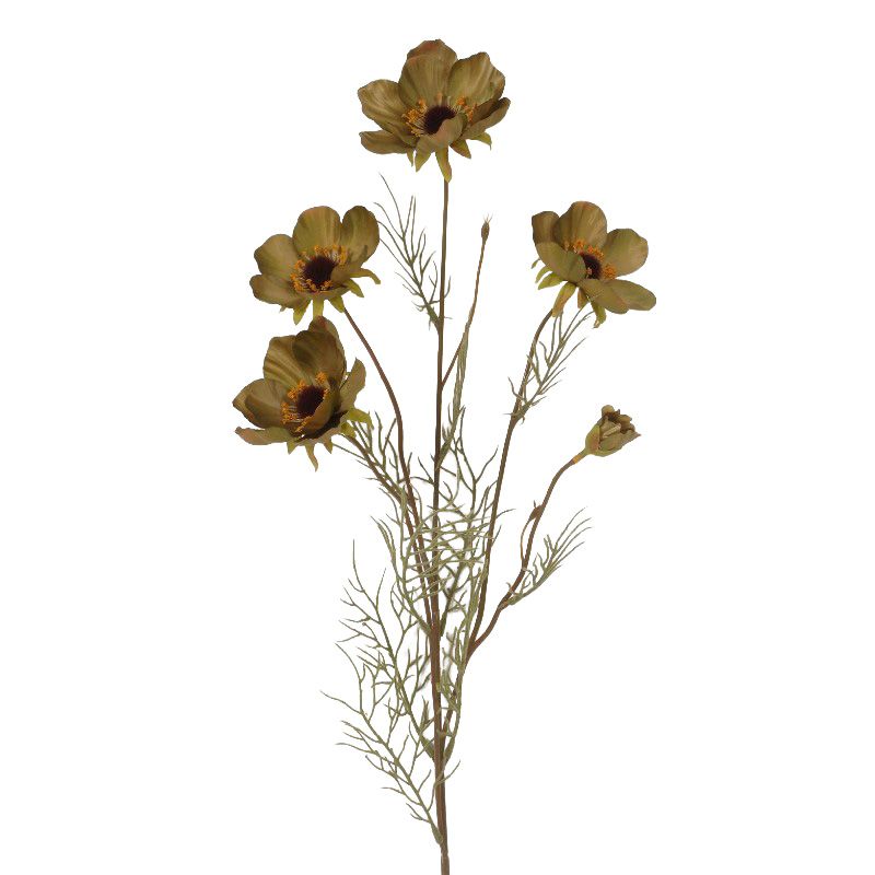 Sage Anenome Stem