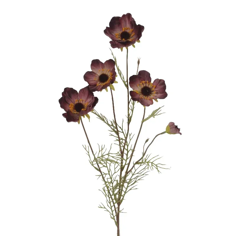 Mauve Anenome Stem