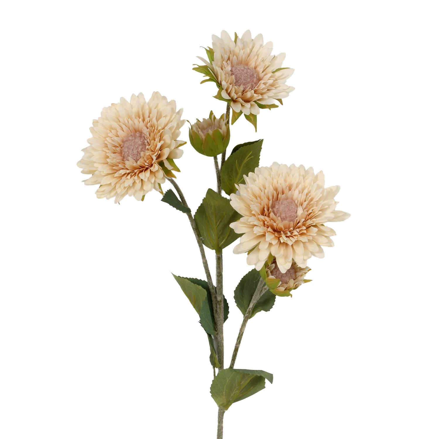 Peach Sunflower Stem