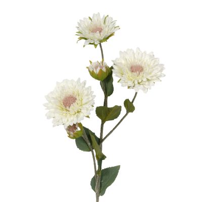 White Sunflower Stem