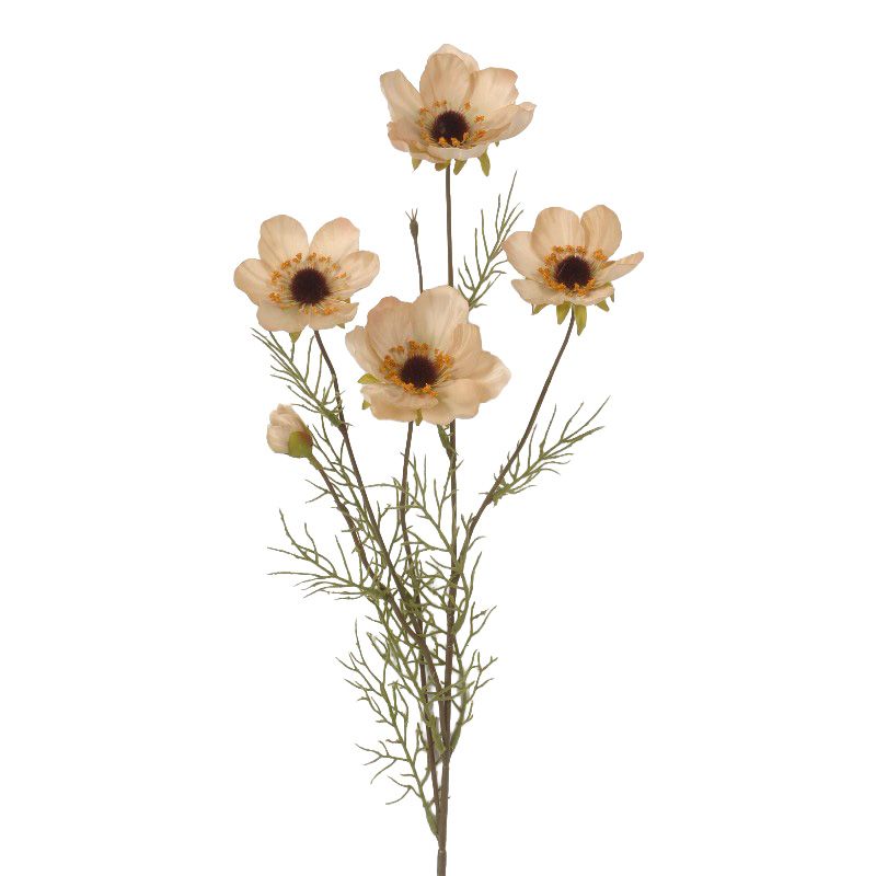 Ivory Anemone Stem