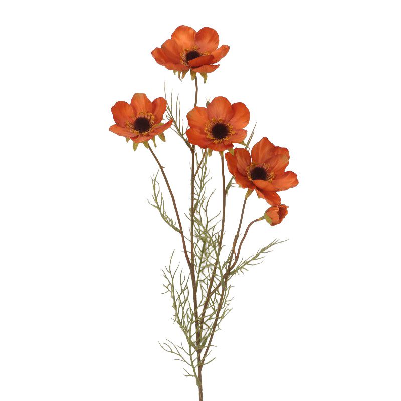 Cinnamon Anenome Stem