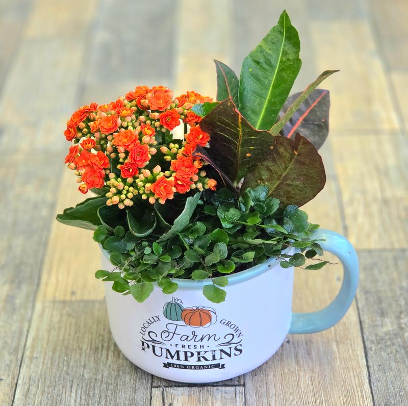 Fall Mug Dish Garden