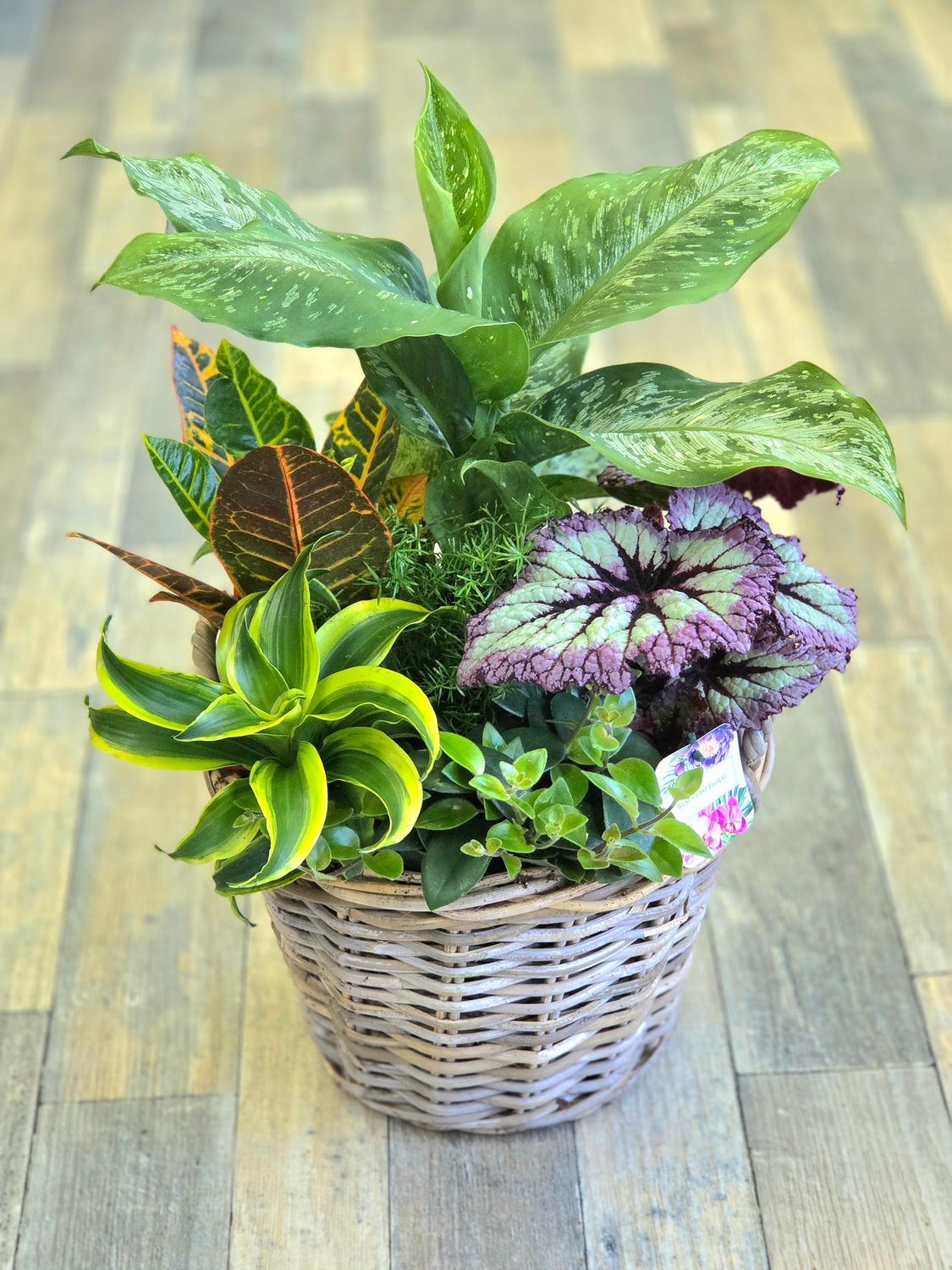 10" Wicker Basket Dish Garden