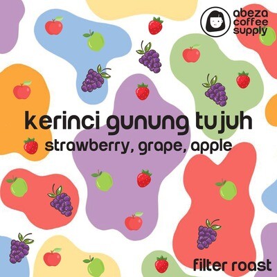 Kerinci Gunung Tujuh - 200gr Filter Roast