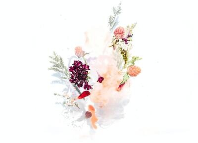 Flower Essence For Clients Only Flower Essence For Clients Only