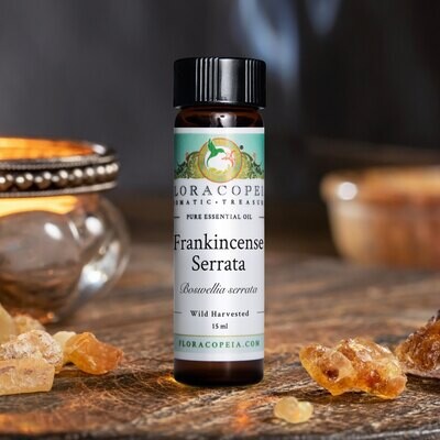 Frankincense Essential Oil Frankincense Essential Oil