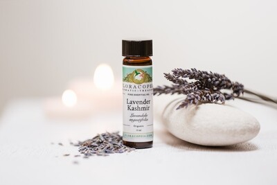 Lavender Essential Oil Lavender Essential Oil